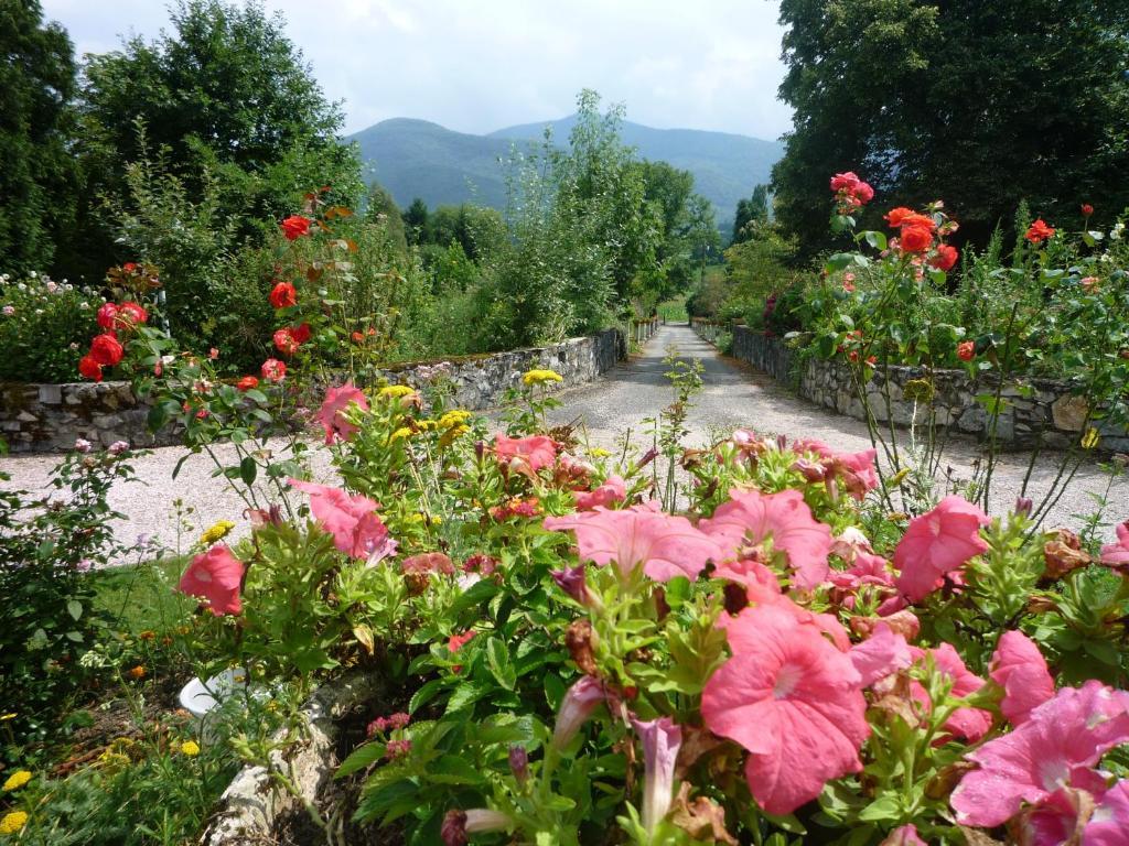 Domaine Vega Bed & Breakfast Saint-Arroman  Exterior photo